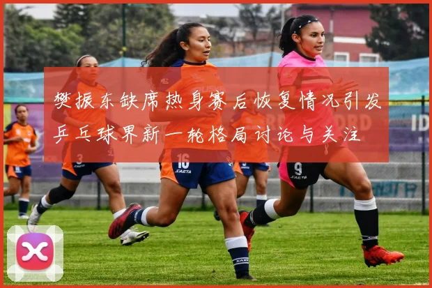 樊振东缺席热身赛后恢复情况引发乒乓球界新一轮格局讨论与关注