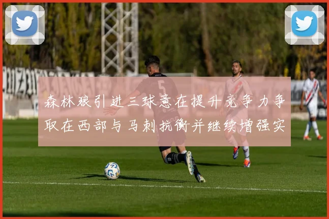 森林狼引进三球意在提升竞争力争取在西部与马刺抗衡并继续增强实力