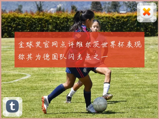金球奖官网点评维尔茨世界杯表现称其为德国队闪光点之一