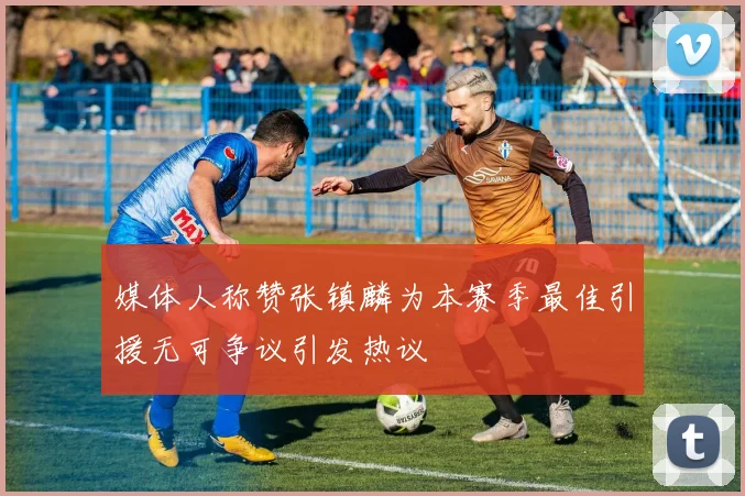 媒体人称赞张镇麟为本赛季最佳引援无可争议引发热议